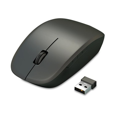 Souris antibactérienne