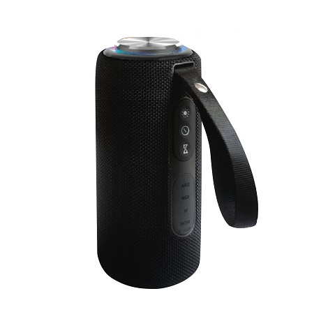 Enceinte tout terrain - Blaupunkt