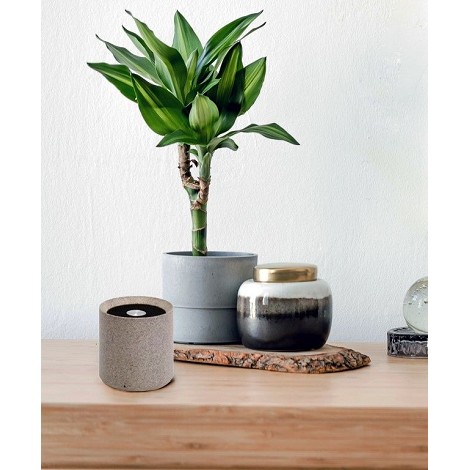 Enceinte Bluetooth - Soutien à 1% For the Planet
