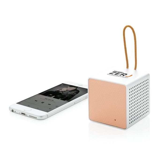  Enceinte sans fil Vibe