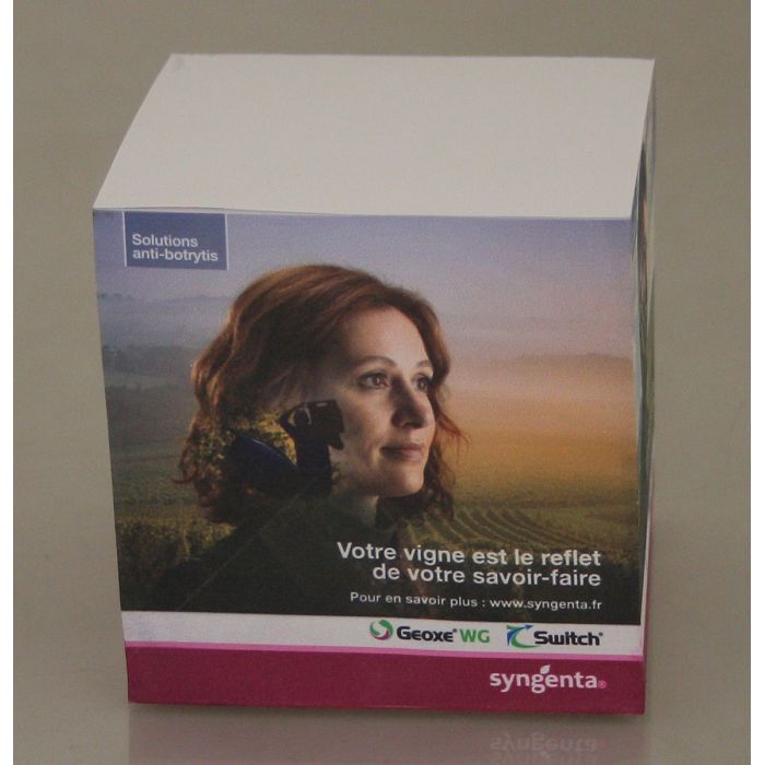  Bloc cube papier personnalisé