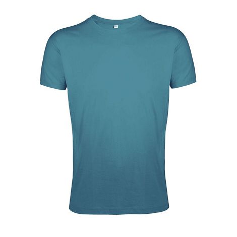  TEE-SHIRT HOMME COL ROND AJUSTÉ COULEUR