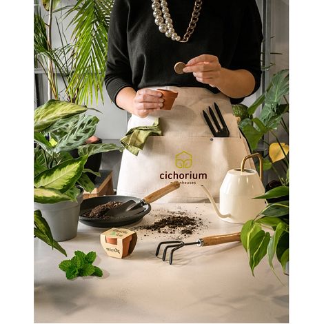 Pot en terre cuite avec graines de menthe