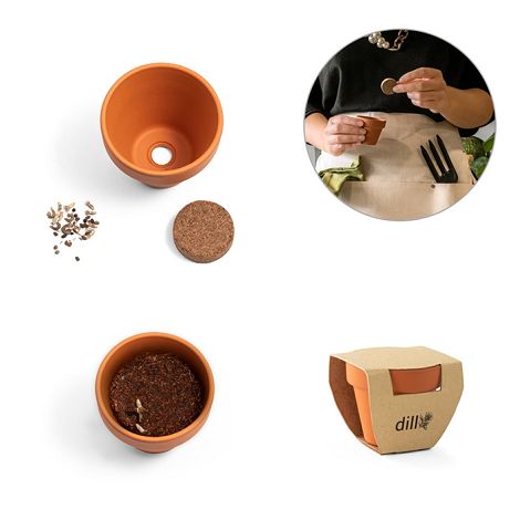 Pot en terre cuite avec graines d'aneth