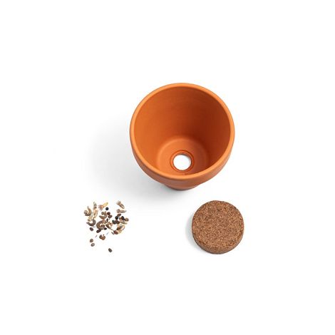 Pot en terre cuite avec graines d'aneth