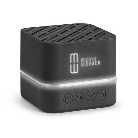 Haut-parleur portable