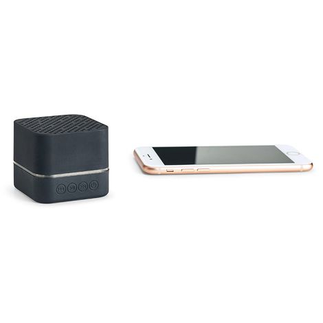Haut-parleur portable