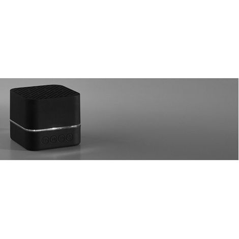 Haut-parleur portable
