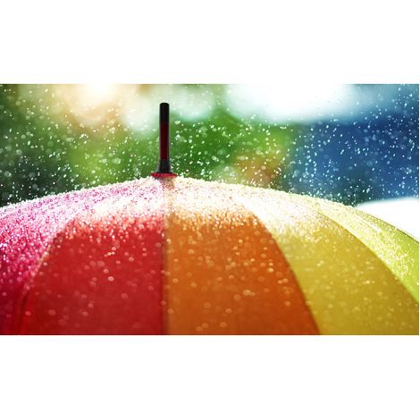 Parapluie 16 baleines