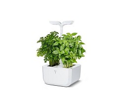Potager Exky Classic