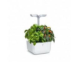 Potager Exky Smart