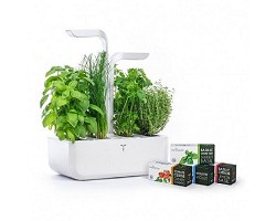 Potager Classic