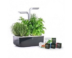 Potager Smart