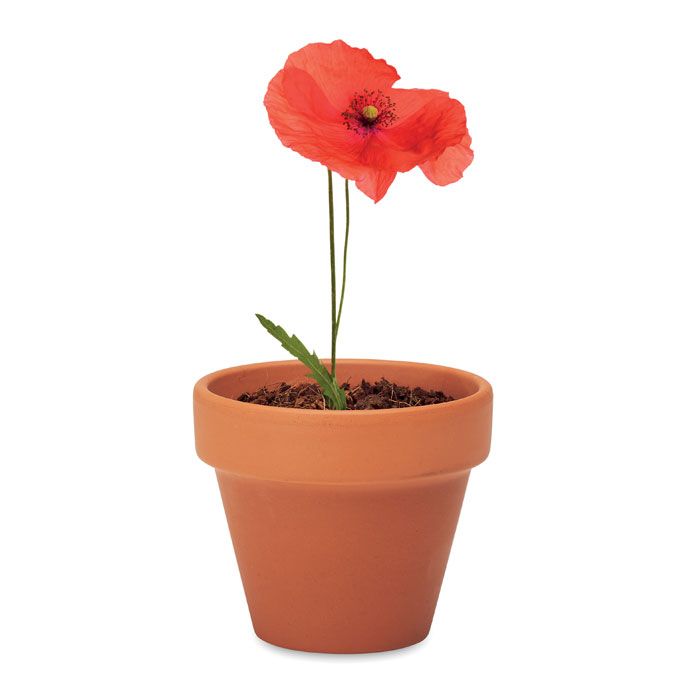  Pot graines de coquelicot