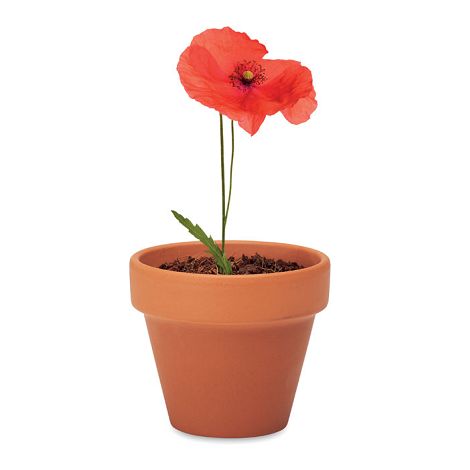  Pot graines de coquelicot