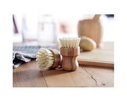 Set de brosses pour végétaux