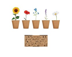 Kit de culture de fleurs