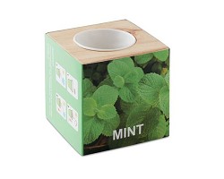 Pot en bois avec graine Menthe