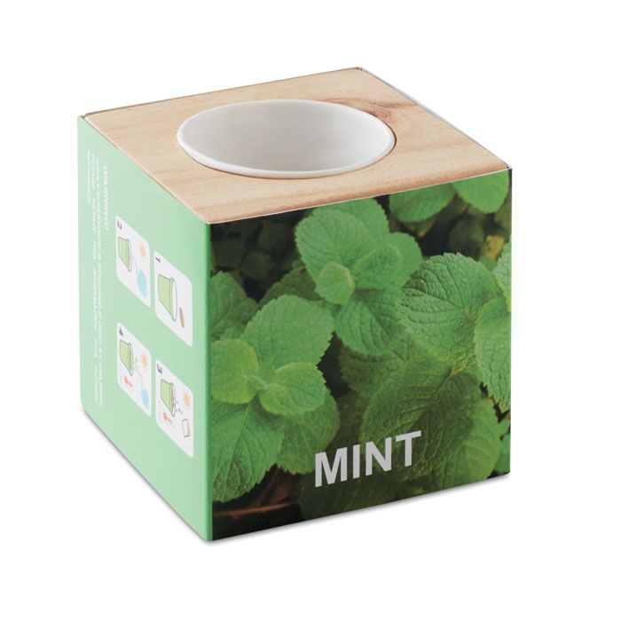  Pot en bois avec graine Menthe