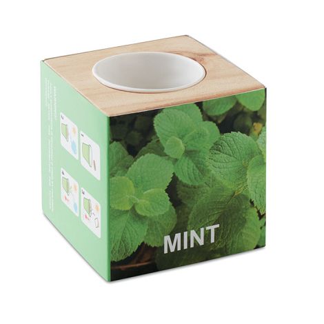  Pot en bois avec graine Menthe