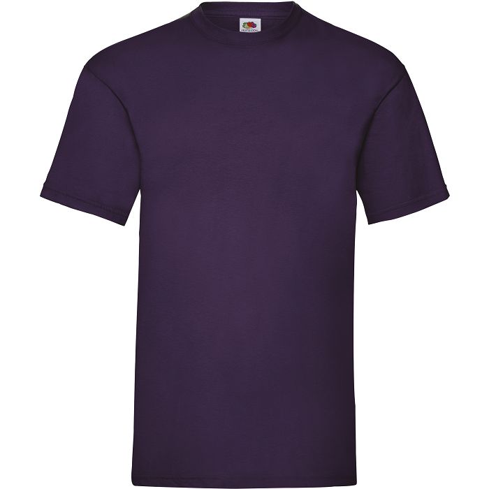  T-shirt homme Valueweight (61-036-0)