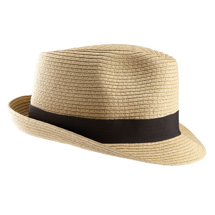  Chapeau Panama