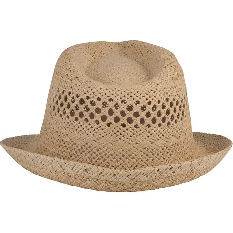  Chapeau de paille style Panama