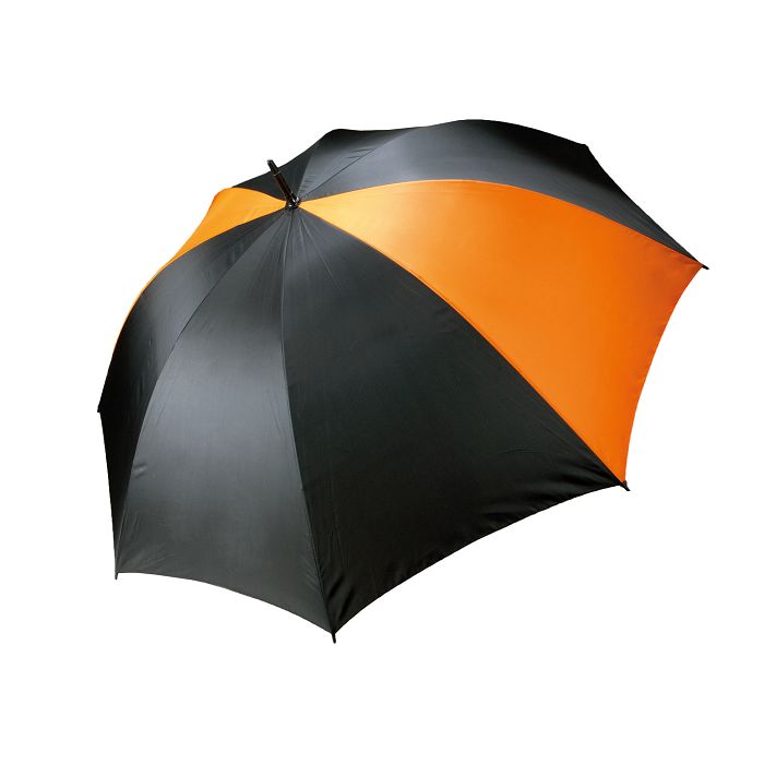  Parapluie tempête