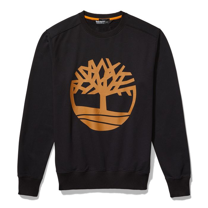  Sweatshirt core tree col rond