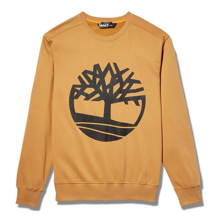  Sweatshirt core tree col rond