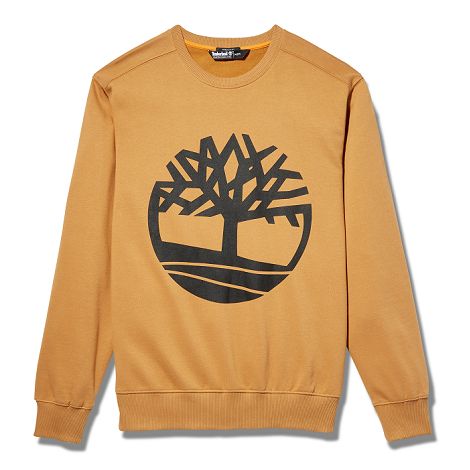  Sweatshirt core tree col rond