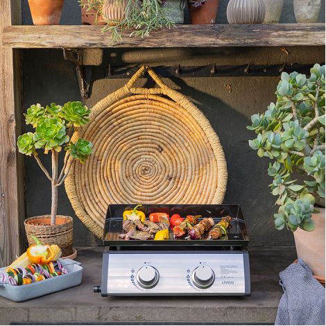Plancha gaz 2 brûleurs