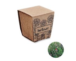 Kit de tournesol