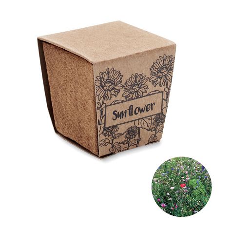  Kit de tournesol
