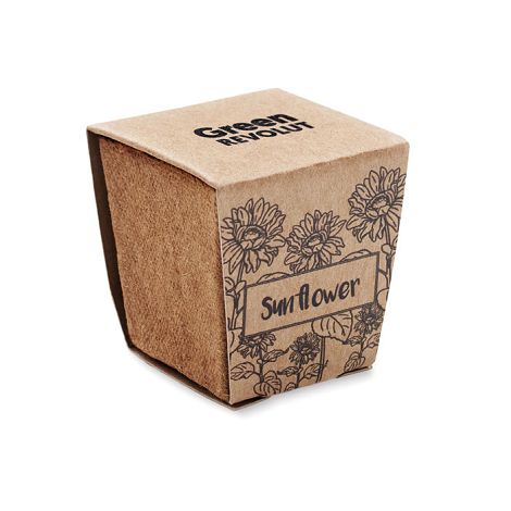  Kit de tournesol