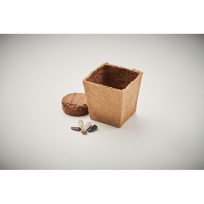 Kit de tournesol