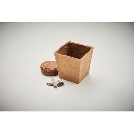  Kit de tournesol