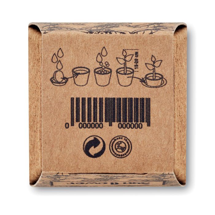  Kit de tournesol