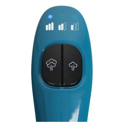 Nettoyeur vapeur