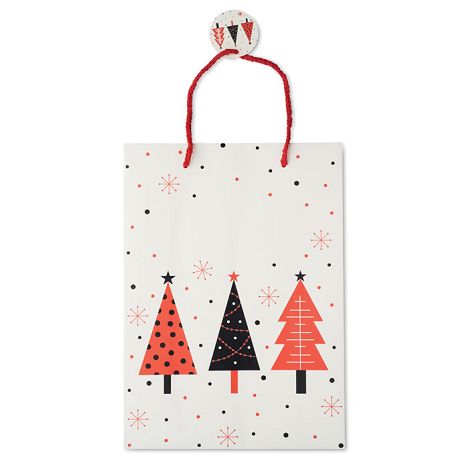 Sac cadeau grand format