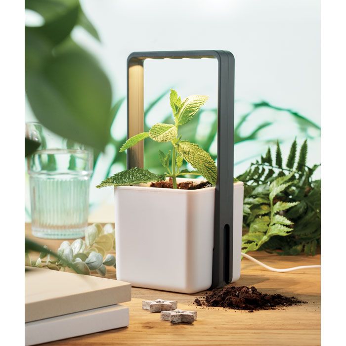  Jardin intérieur éclairage LED
