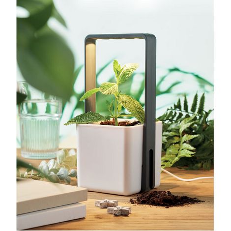  Jardin intérieur éclairage LED