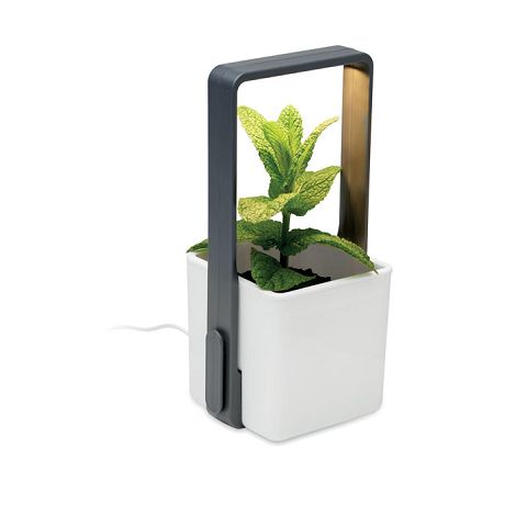  Jardin intérieur éclairage LED