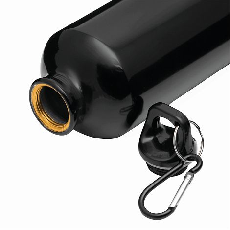 BIG TRANSIT - Gourde aluminium