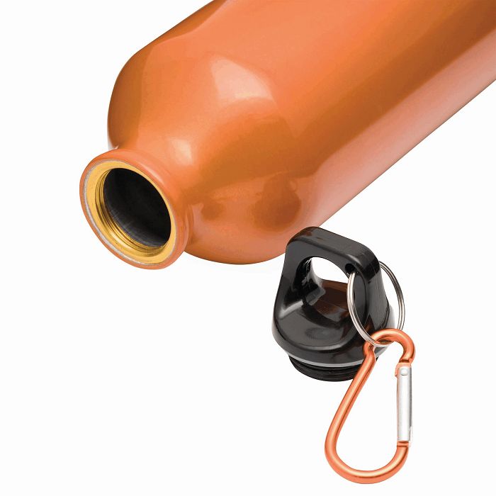  BIG TRANSIT - Gourde aluminium