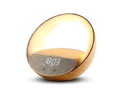 Enceinte alarme induction Bluetooth Speaker