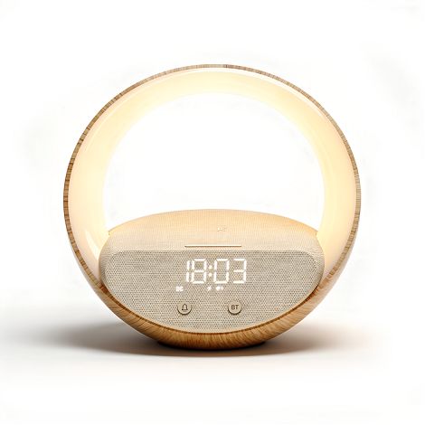  Enceinte alarme induction Bluetooth Speaker