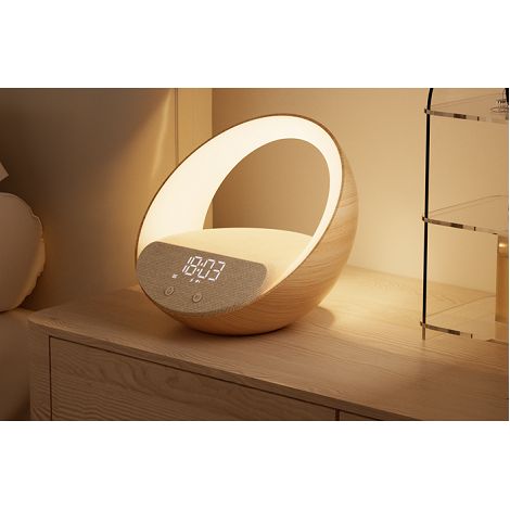  Enceinte alarme induction Bluetooth Speaker