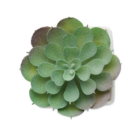  Mini plante artificielle