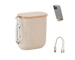 Set de câbles dans un boîtier